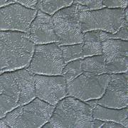 Крокодил - серый