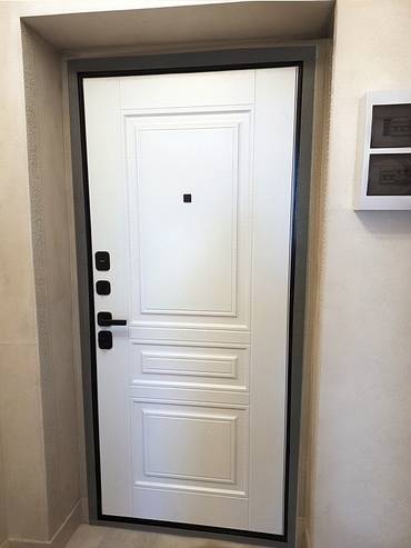 Дверь МДФ RAL в квартиру